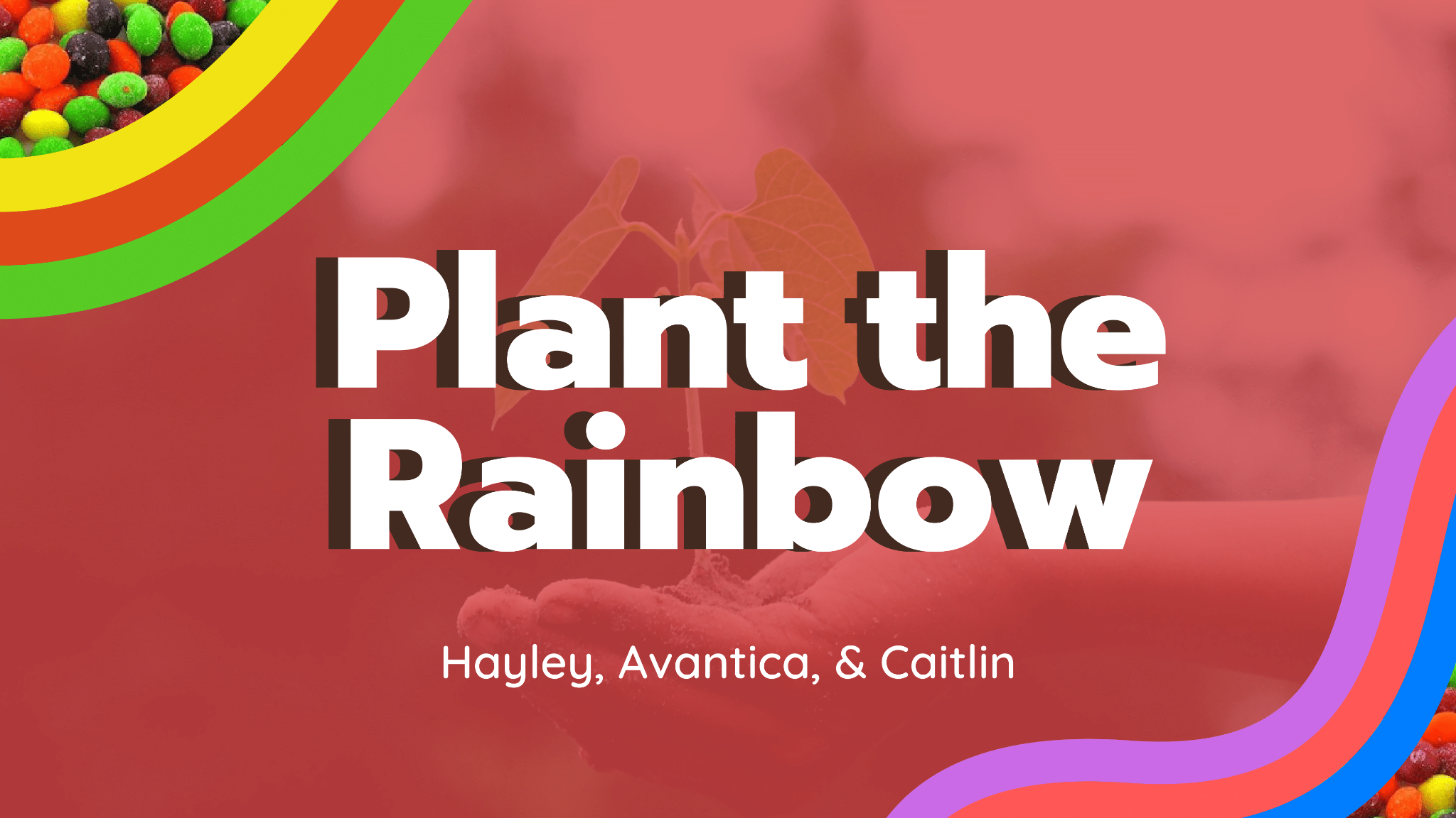 Plant the Rainbow-01